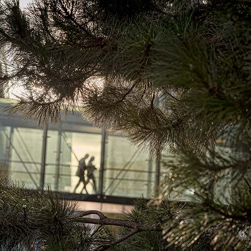 Two people walking accross a bridge between two buildings at a head office building of a large company.