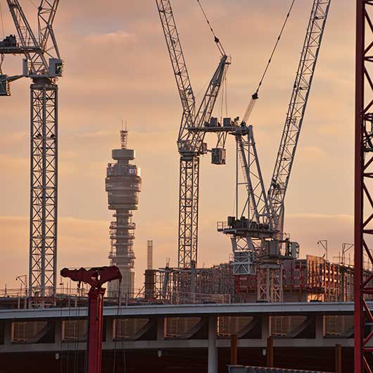 Cranes at sunset