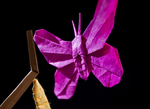 Origami Butterfly