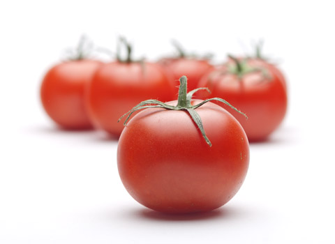 Tomatoes on a white background